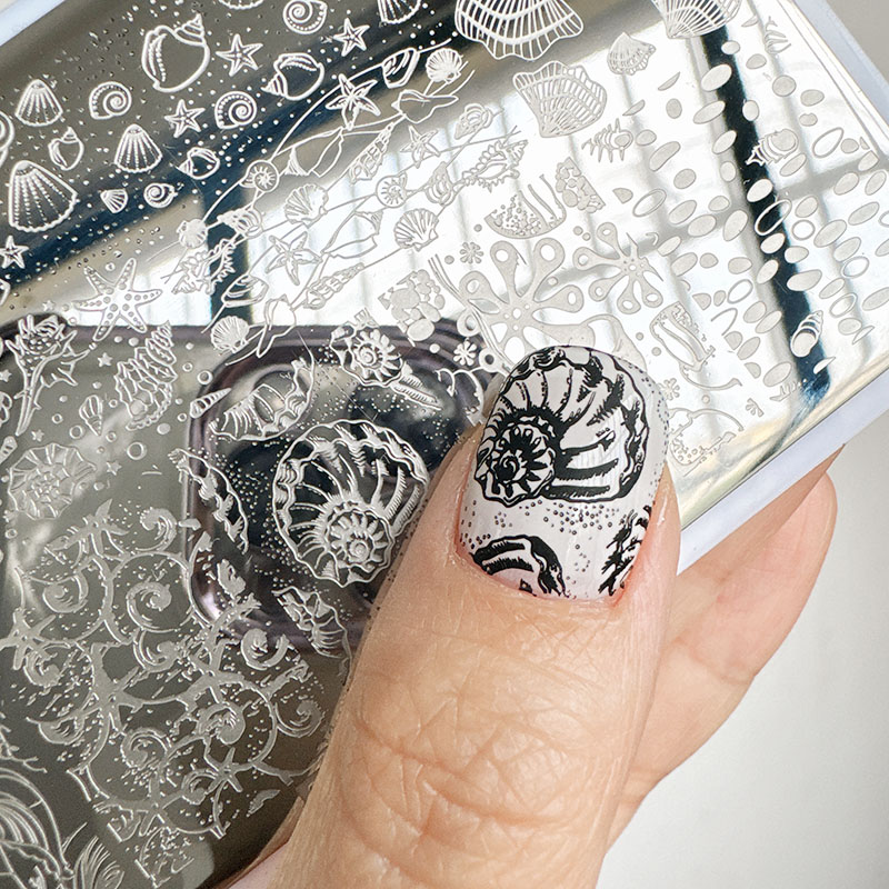 Nail Art Stamping Kit - XMQ لوحات ختم فن الأظافر، تصميمات