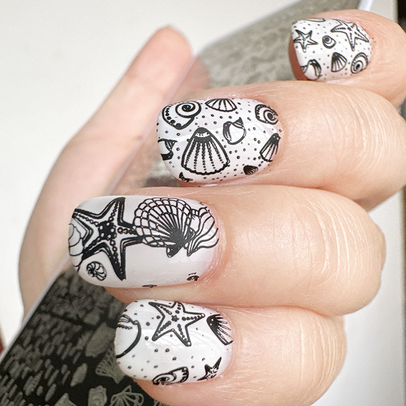 XMQ لوحات ختم فن الأظافر، تصمي - مراجعة Nail Art Stamping Kit وسعره