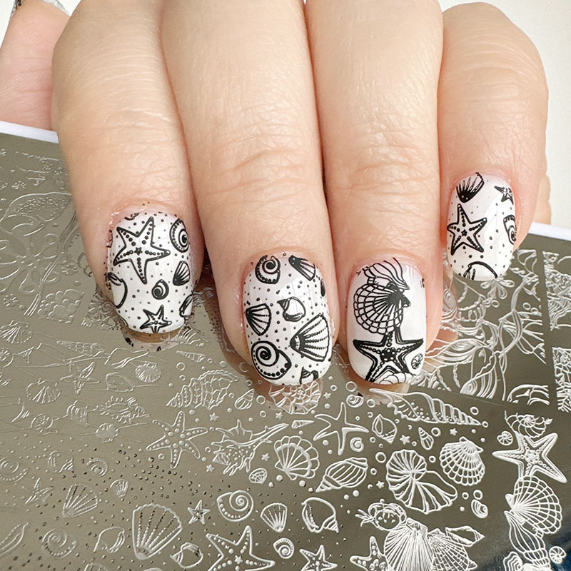 XMQ لوحات ختم فن الأظافر، تصمي - مراجعة Nail Art Stamping Kit وسعره