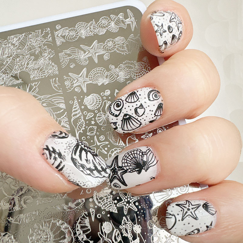 XMQ لوحات ختم فن الأظافر، تصمي - مراجعة Nail Art Stamping Kit وسعره
